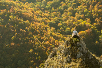 Front view of man meditating on cliff against autumn trees in forest