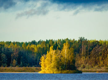 Scenic view of trees by lake against sky