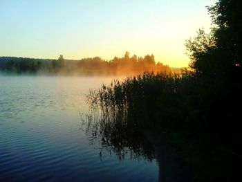 Silhouette trees by lake against clear sky during sunset