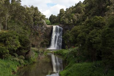 Scenic view of waterfall in forest