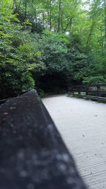 Footbridge in forest