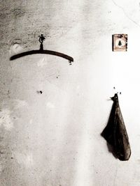 Low angle view of tree against sky