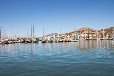 Sailboats moored in harbor against clear sky