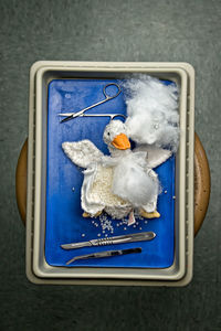 Directly above shot of toy with surgical equipment in medical tray on table