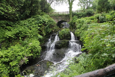 Scenic view of waterfall