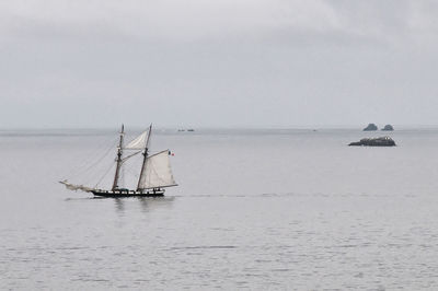 Sailboat sailing on sea against sky