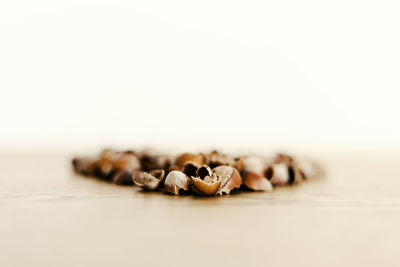 Close-up of food against white background