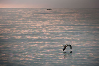 Silhouette person swimming in sea against sky during sunset