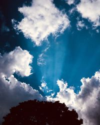 Low angle view of silhouette trees against blue sky