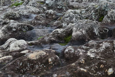 Close-up of water flowing through rocks