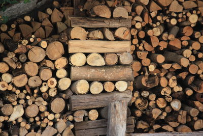 firewood
