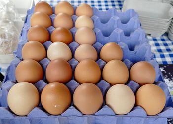 High angle view of eggs in container