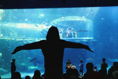 Rear view of silhouette people in aquarium