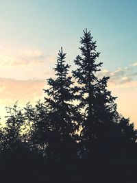 Low angle view of silhouette trees against sky at sunset