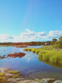 Scenic view of calm sea against sky