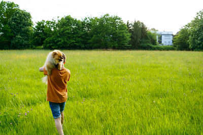 A boy runs through a summer field with small pomeranian dog with new house in background