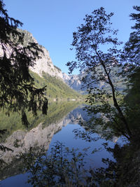 Scenic view of trees and mountains against clear sky