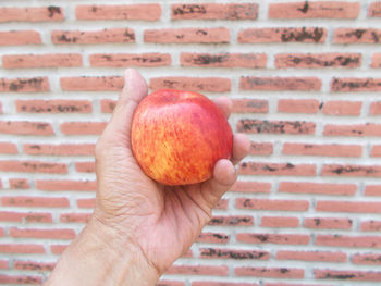 Close-up of hand holding apple against brick wall