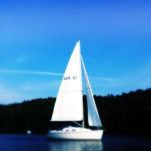 View of trees against blue sky