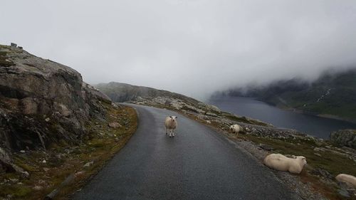 Road passing through mountains