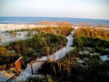 View of calm beach against sky