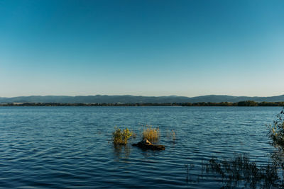 Scenic view of lake against clear blue sky