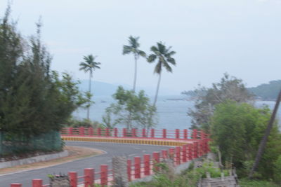 Road by palm trees against sky