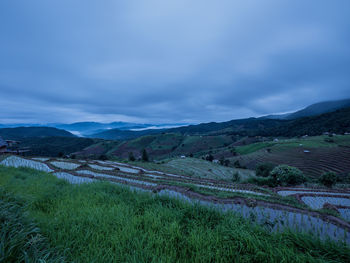 Scenic view of agricultural field against sky