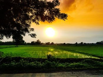 Scenic view of field against sky during sunset