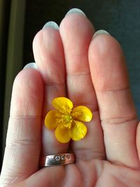 Close-up of cropped flower