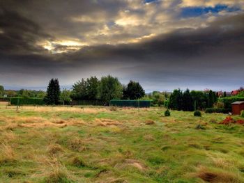 Trees on field against storm clouds