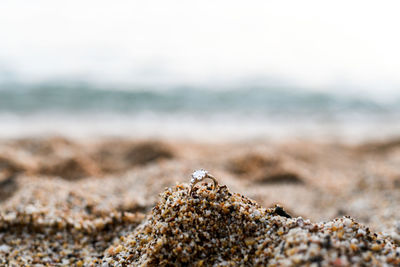 Close-up of engagement ring at the beach