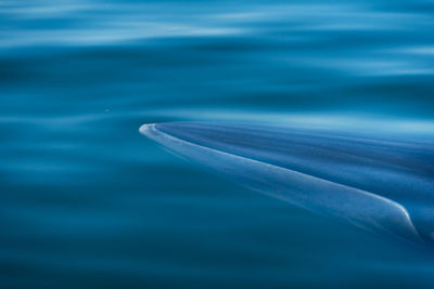 Close-up of blue sea