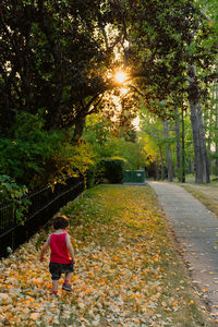 Rear view of woman walking on footpath in park