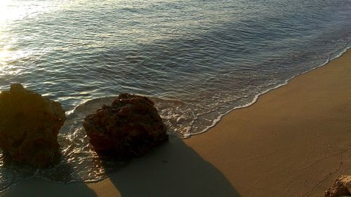 High angle view of starfish on beach against sky