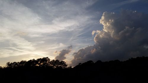Silhouette trees against sky during sunset