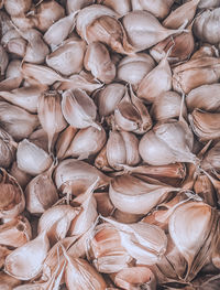 Full frame shot of garlic
