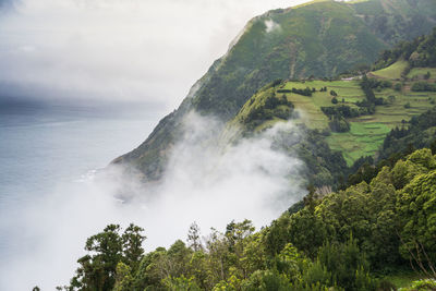 Scenic view of trees and mountains against sky