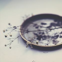 Close-up of eyeglasses on wall