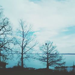 Bare trees against sky during winter