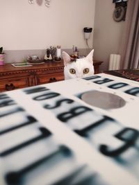 Portrait of cat on table at home