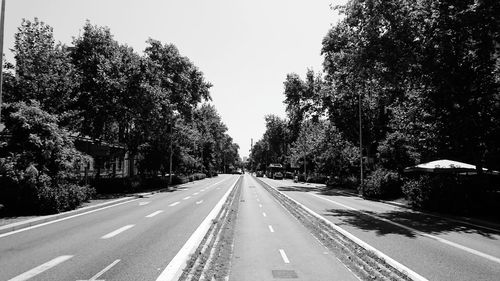 Empty road along trees