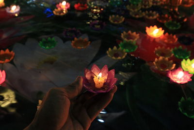 Close-up of hand holding flowers