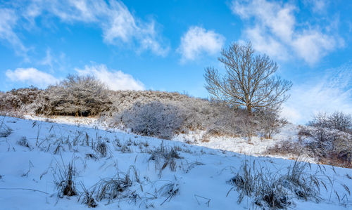 Low angle view of snow covered landscape against sky