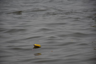 High angle view of a floating in a lake