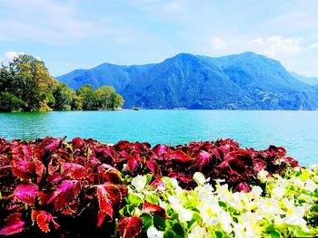 Scenic view of lake and mountains against sky