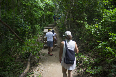Rear view of friends walking on footpath in forest