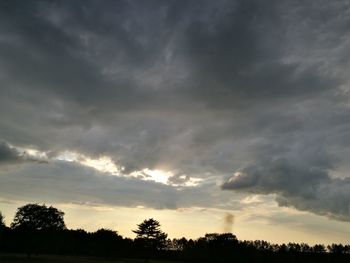 Low angle view of silhouette trees against sky during sunset