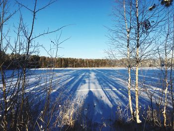 Snow covered land and trees against sky