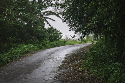 Wet road amidst trees against sky during rainy season